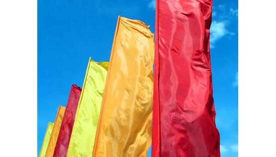 Wave Flag 120 FR, +/- 120 g/m2
For subli transfer & direct
3,20 x +/- 200 m